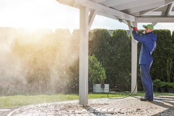 Best Driveway Pressure Washing  in Blooming Prairie, MN